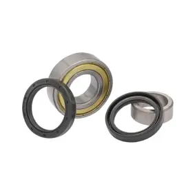 Aix Du00041 Golf Cart Rear Axle Bearing Bushing And Oil Seal Kit For Club Car Ds
