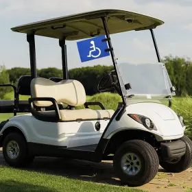 Branded 313031676640 Handicap Golf Cart Flagdisabled Flaghandicap Flag For Carteasy
