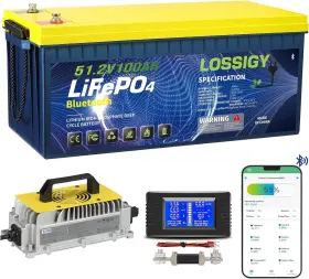 Lossigy 51.2v100ah New 51.2 Volt 100ah Lithium Golf Cart Battery With 58.4 18a Charg