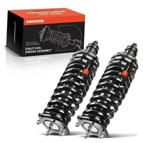 Premiumpartswhosale Apsa0796 Rear Complete Strut And Coil Spring Assembly Compatible With Mercedes-benz