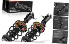 Premiumpartswhosale Apsa1934 Front Complete Strut And Coil Spring Assembly Compatible With Buick Regal