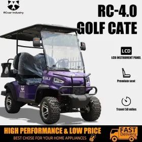 Raccon Rc-g4.0 Free Shipping 2024 Lead-acid 5kw Ac Motor Electric Golf 22mi/h