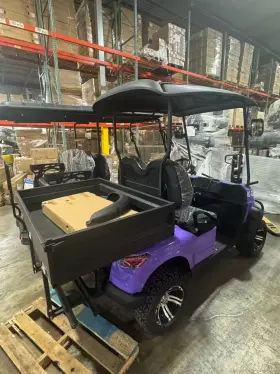 Raccoon Rc-2.0 2seater Electric Golf Cart Loaded And Lifted Car Play Push Start New 2025