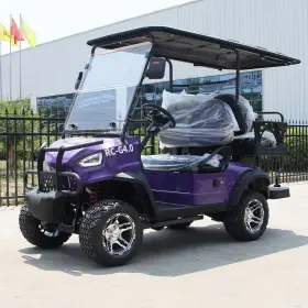 Raccoon Rc-4.0 Brand New Electric Golf Cart 4 Seats For Sale Passenger With Flip Down Seat