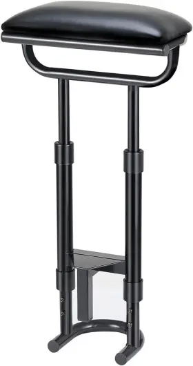 Sports 445029319376 Golf Push-pull Cart Removable/detachable Seat Gt302 Gl304 Gl409