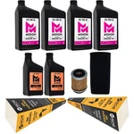 Mishon Full Service Oil Change Kit For Yamaha Big Bear 350 Yfm350 1999. Fixed Price $117.95.