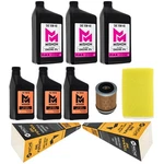 Mishon Full Service Oil Change Kit For Yamaha Big Bear 350 Yfm350 1989-1997. Fixed Price $109.95.