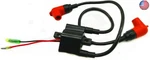 Ignition Coil For Yamaha Outboard 6hp 8hp 1984-2009 6g1-85570-00-00. Fixed Price $99.40.