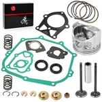 285cc Engine Top End Rebuild Kit Std Piston + Ring Gasket Seal Exhaust In.... Fixed Price $163.27.